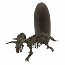 Jurassic Dinosaur Fossil Egg -Asst RRP $17.99