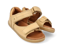 Bobux | I Walk Driftwood Sandal - Parchment
