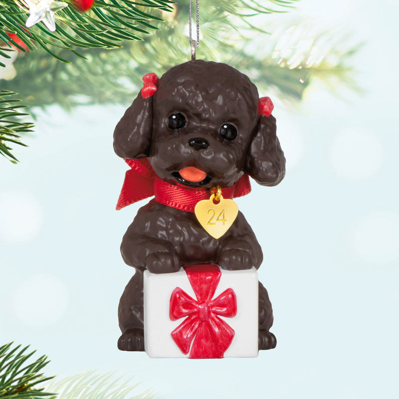 Hallmark | Puppy Love Poodle 2024 Ornament