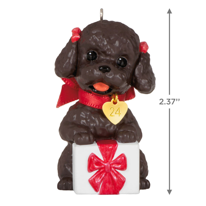 Hallmark | Puppy Love Poodle 2024 Ornament