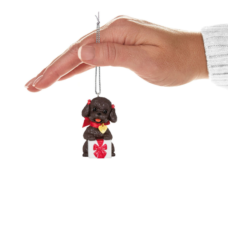 Hallmark | Puppy Love Poodle 2024 Ornament