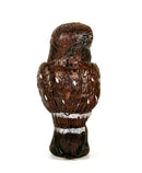 Science and Nature Boobook Owl