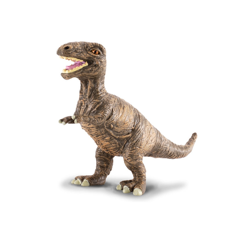 Collecta | Tyrannosaurus Rex Baby
