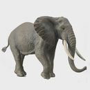 CollectA African Bush  Elephant