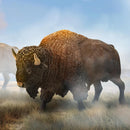 CollectA 88968 - American Bison
