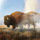 CollectA 88968 - American Bison