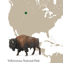 CollectA 88968 - American Bison