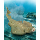 CollectA | Angel Shark