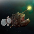 CollectA Anglerfish