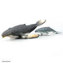 CollectA Humpback Whale Calf M