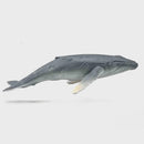 CollectA Humpback Whale Calf M