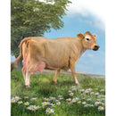 CollectA | Jersey Cow