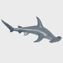 CollectA Scalloped Hammerhead Shark