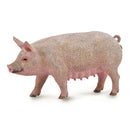 CollectA | Sow
