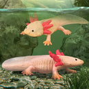 CollectA | Axolotl