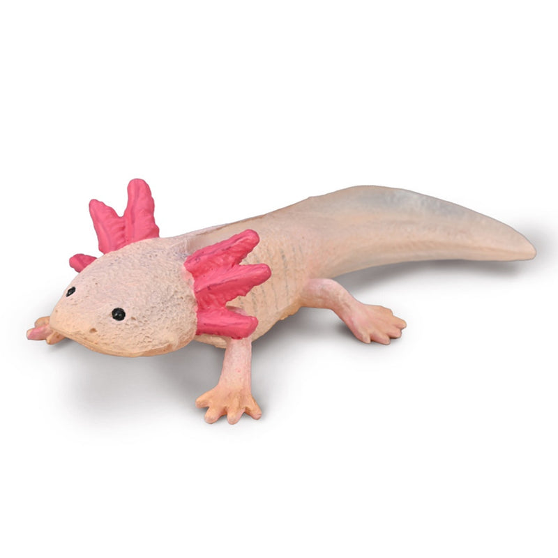 CollectA | Axolotl