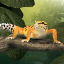 CollectA Leopard Gecko