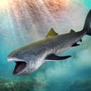 CollectA Megamouth Shark