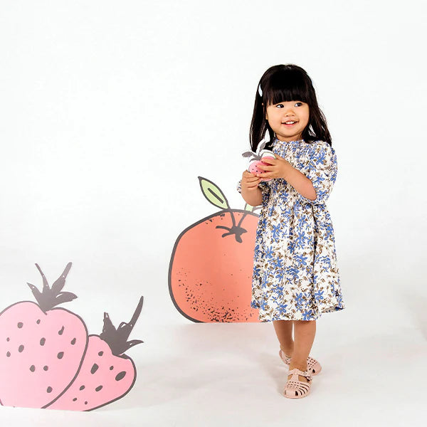 Animal Crackers  | Dazey Dress