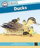 The Joy Cowley Classic Collection - Assorted titles