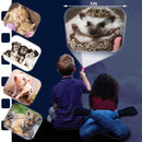Brainstorm Toys | Cute & Cuddly Torch & Projector
