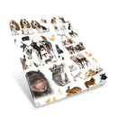 EZ covers | EZ8 assorted designs