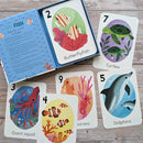Go Fish Snap Card Games