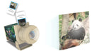 4M: KidzLabs Slide Projector - Wildlife