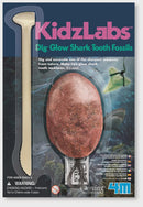 4M: KidzLabs Dig a Glow Shark Tooth