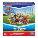PAW Patrol Pup Squad Surprise Figures - Asst