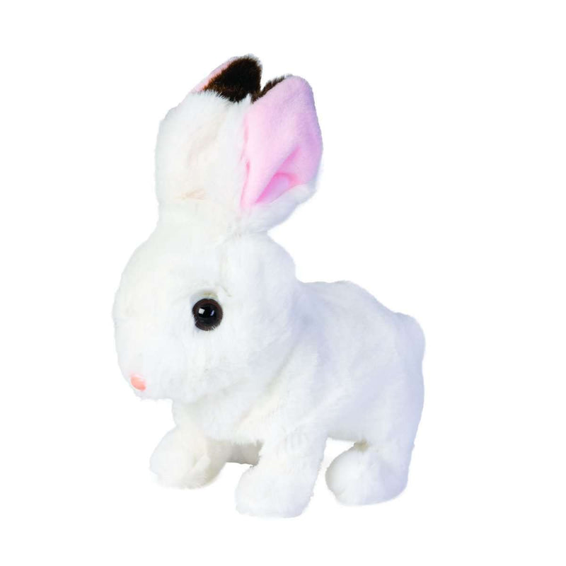 Bunny Animated Pet Toy