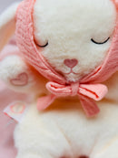 Toyslink Plush Toy Sleeping Bunny