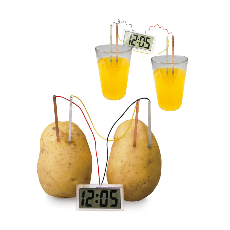 Jeanny | STEAM Potato Clock