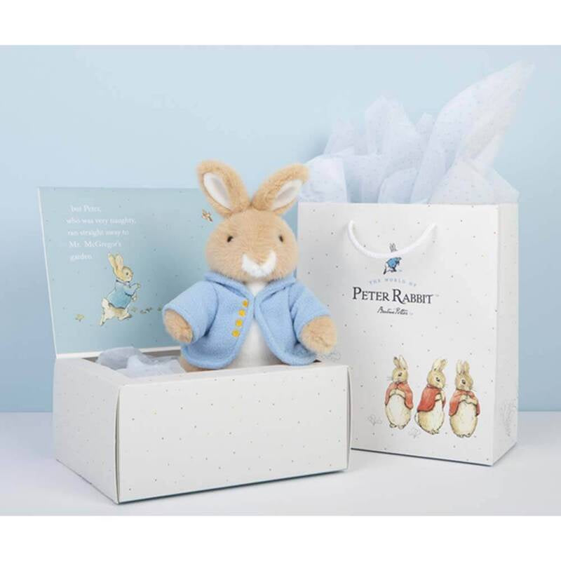 Beatrix Potter Peter Rabbit Gift Box 23cm