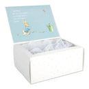 Beatrix Potter Peter Rabbit Gift Box 23cm