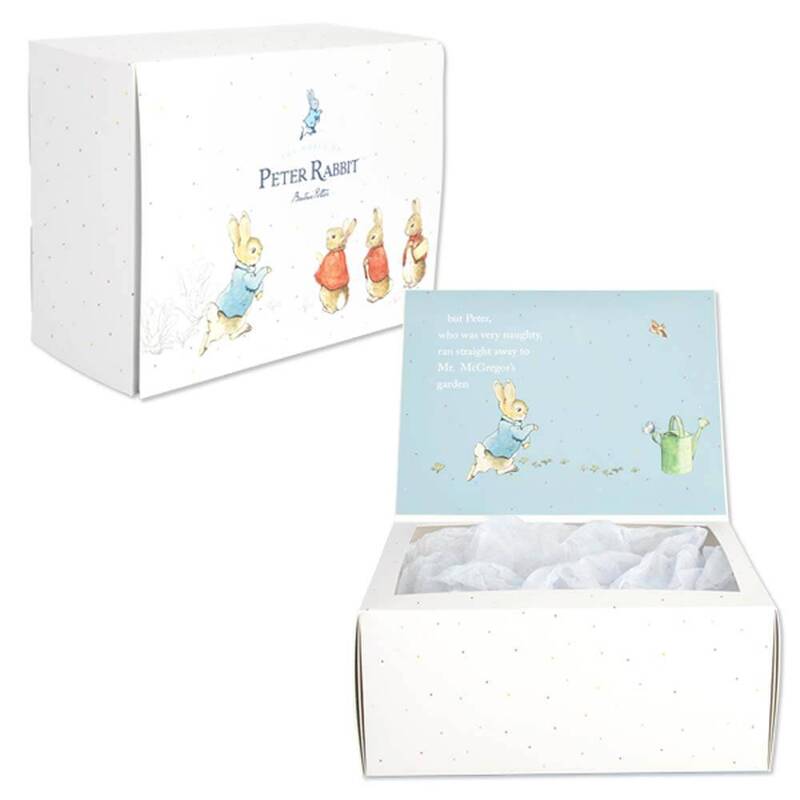Beatrix Potter Peter Rabbit Gift Box 23cm