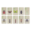 Kids Explorers Bag Insects