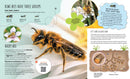 Kiwi Bees Have Tiny Knees