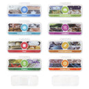 Leapfrog |  Magic Adventures Microscope