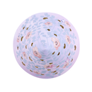 Ballerina Light Up House