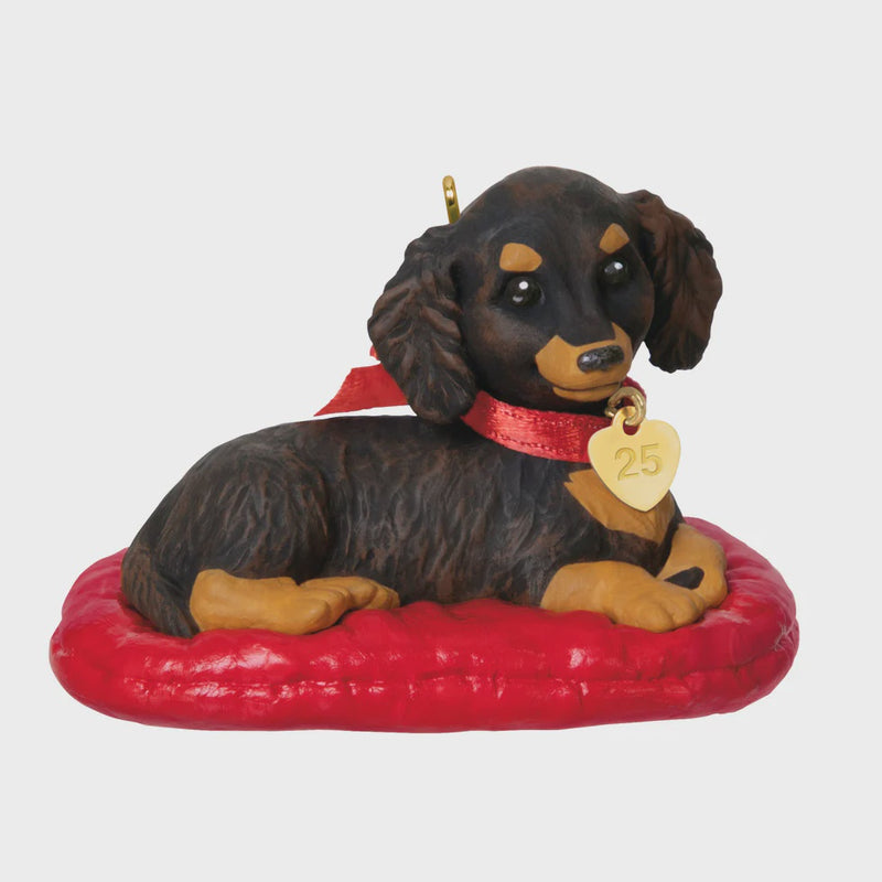 Long-haired Dachshund, 35th in the Puppy Love Series — 2025 Hallmark