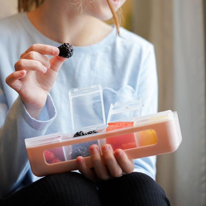 Melii 4 Compartment Snackle Box - Pink