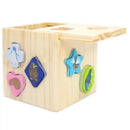 Moana Road NZ Birds Shape Sorter
