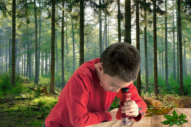 Science and Nature: Zoomscope