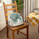 Ingenuity Base | Base 2 in 1 Seat Mist