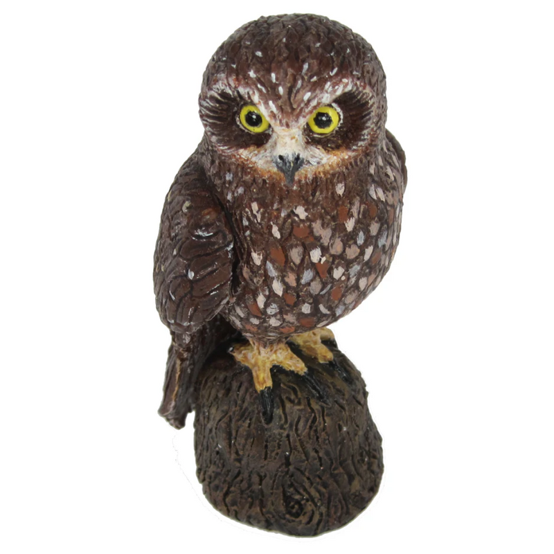 Science and Nature Boobook Owl