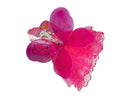 Butterfly Wings and Twin Layer Skirt Set - Hot Pink