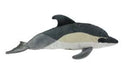 Common Dolphin with Sound - Antics