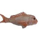 Antics | Snapper Soft Toy