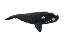 Southern Right Whale with Sound